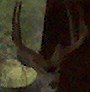 runninlope's Avatar
