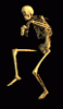 mtnhack's Avatar
