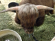 RussDXT's Avatar